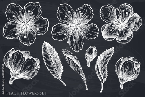 Vector set of hand drawn chalk peach flowers