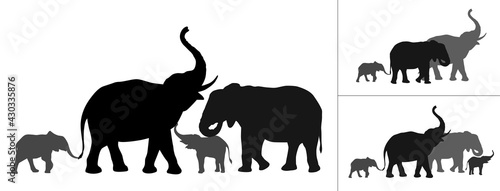 Silhouette of a family of elephants. All objects are isolated. You can swap them or use only the silhouettes that you need.  photo