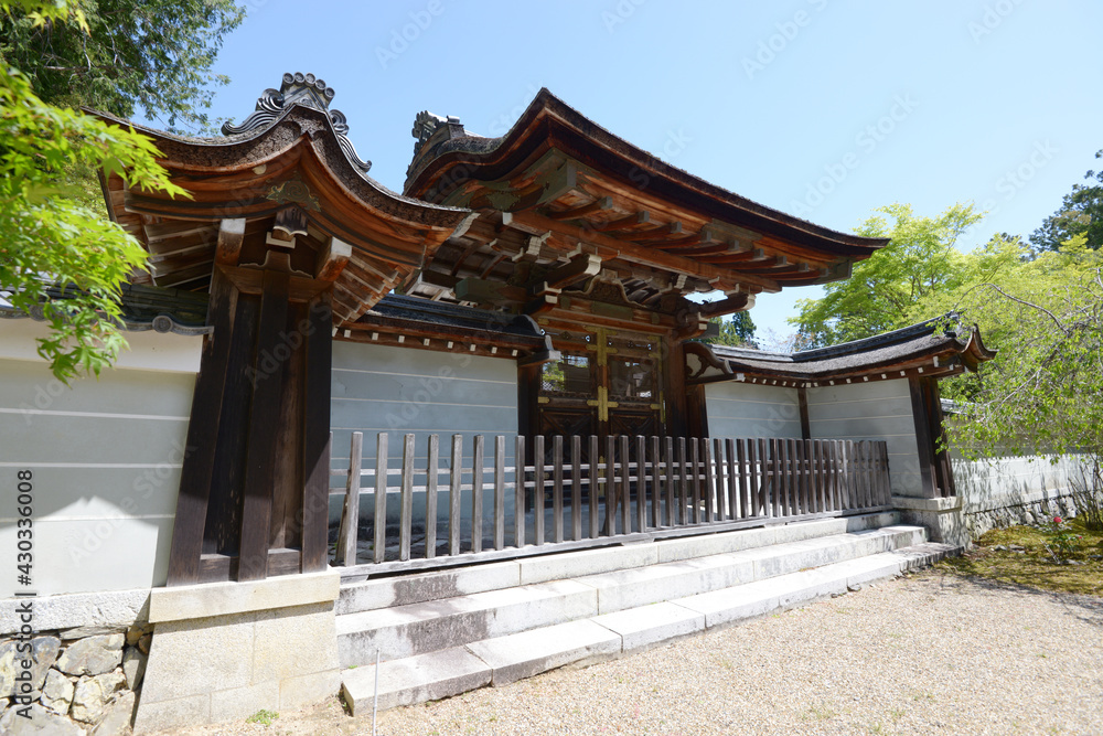 新緑の神護寺　書院の表門　京都市高雄