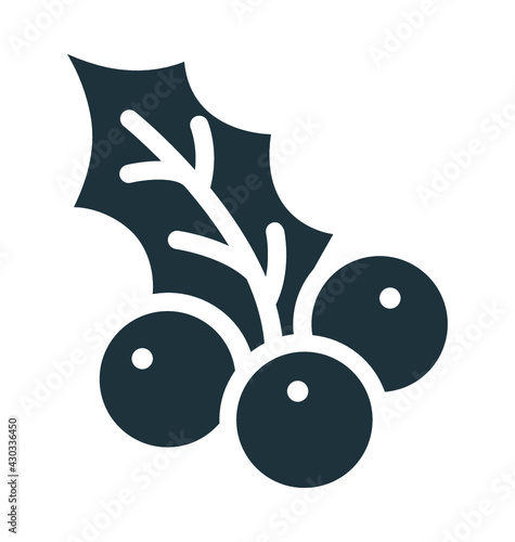 Mistletoe 