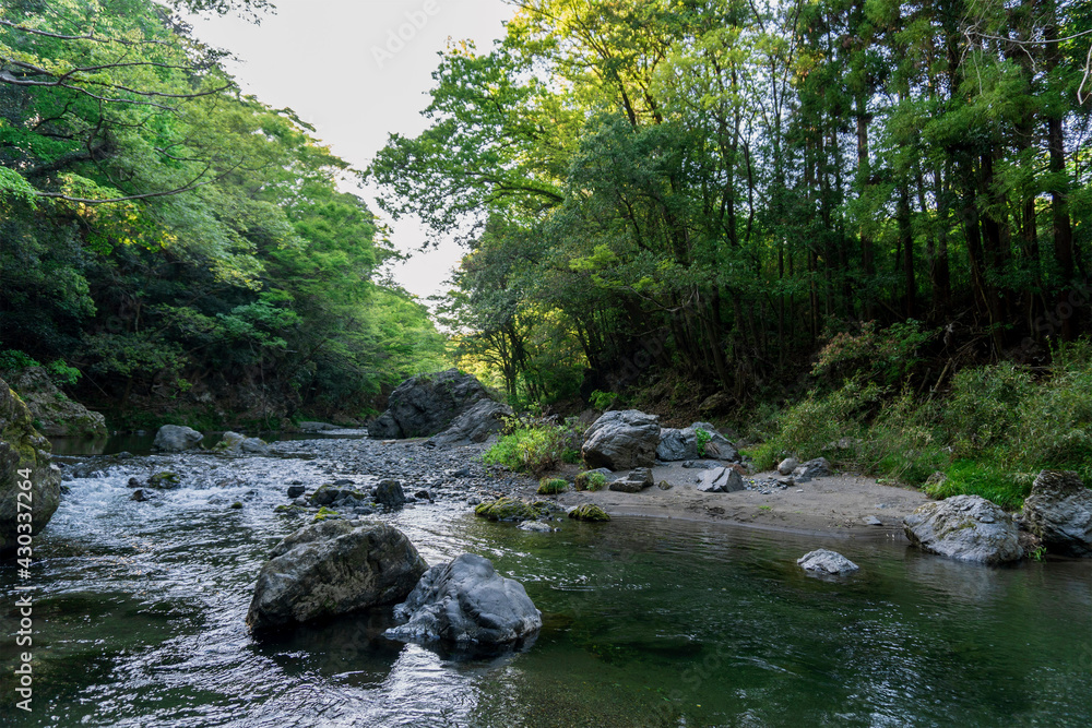 森の緑が反射する川／入間川・吾妻峡（埼玉県飯能市）
