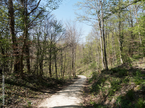 Circuit de randonnée 'Schwarzerweg' le long du Rhin côté Suisse conduisant à la ville de Rheinfelden