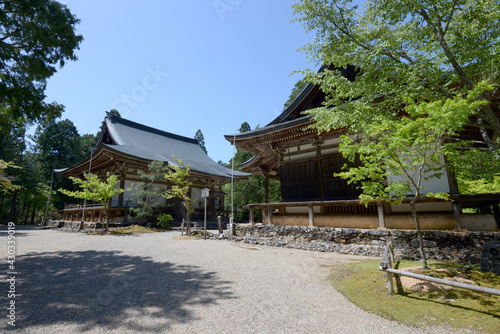 新緑の神護寺 五大堂と毘沙門堂 京都市高雄