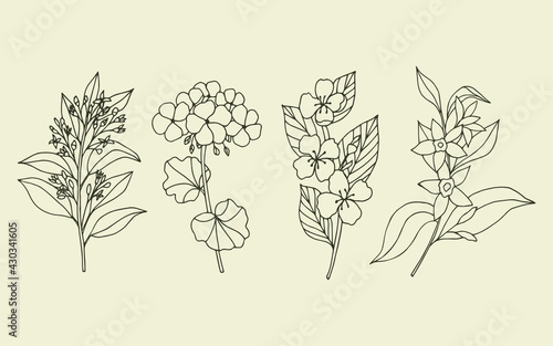 Set of hand drawn sandalwood, geranium, jasmine, vanilla