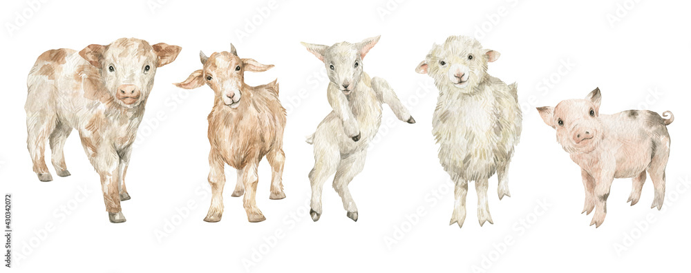 Obraz Watercolor cute farm animals. Little lamb, sheep, goat, calf, cow, pig. Adorable animals, rural mammal, domestic pet.