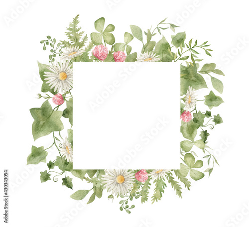 Wallpaper Mural Watercolor frame with green ivy leaves, chamomile and clover flowers. Elegant simple nature ornament. Summer decorative frame for wedding invitation, greeting, cards. Torontodigital.ca
