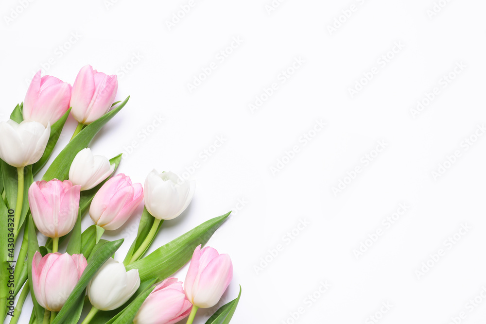 Beautiful pink spring tulips on white background, top view. Space for text Beautiful pink spring tulips on white background, top view. Space for text