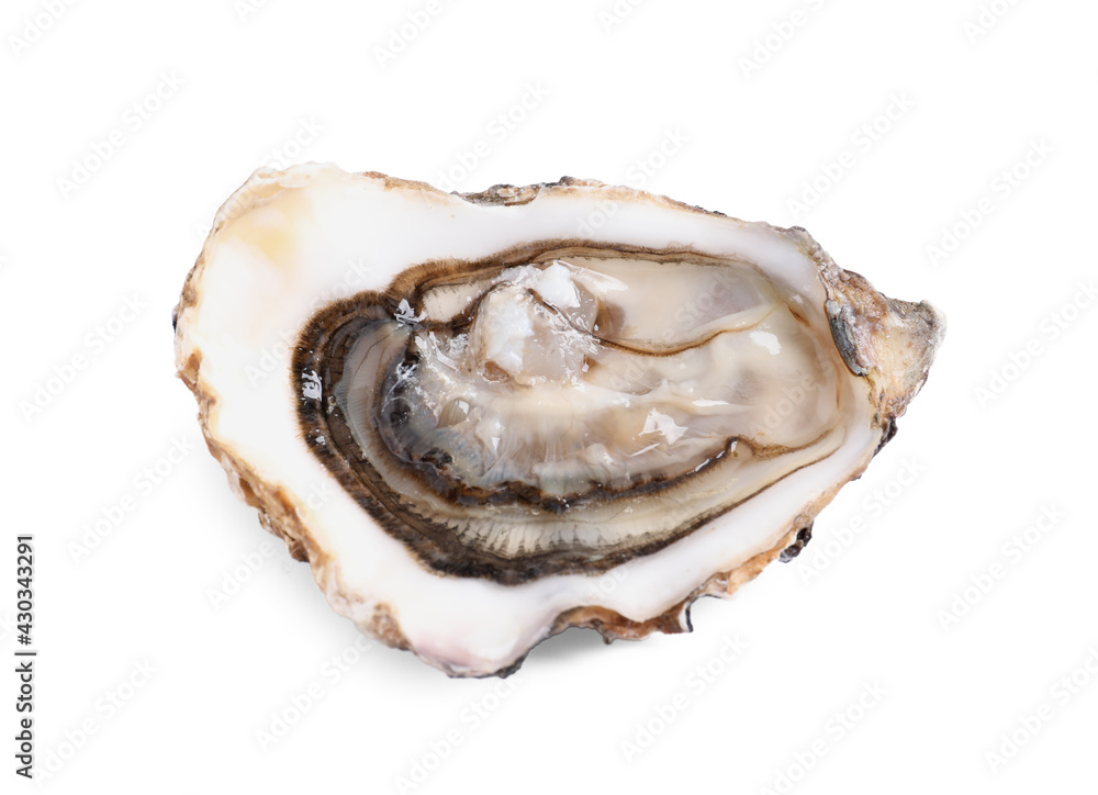 Fresh raw open oyster on white background Fresh raw open oyster on white background