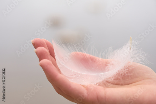 White swan feather on a hand of a white woman