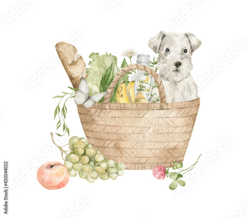 Watercolor picnic composition with basket and cute dog. Summer  clipart with fruits, food, flowers. Animal in the basket photo