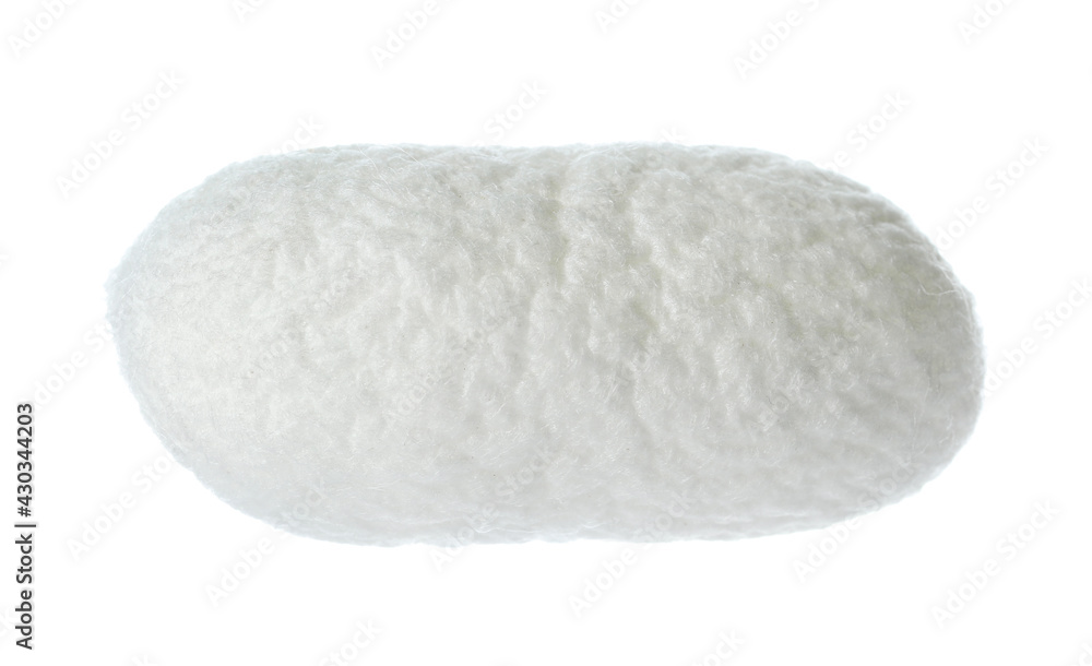 Beautiful natural silkworm cocoon isolated on white Beautiful natural silkworm cocoon isolated on white