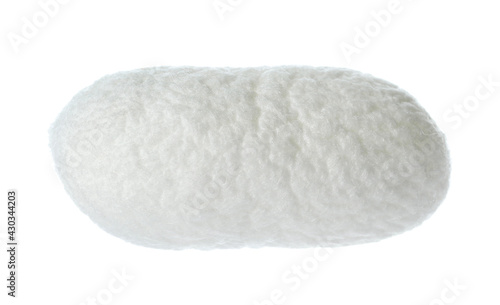 Beautiful natural silkworm cocoon isolated on white
