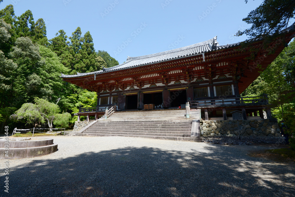 新緑の神護寺 金堂 京都市高雄 新緑の神護寺 金堂 京都市高雄