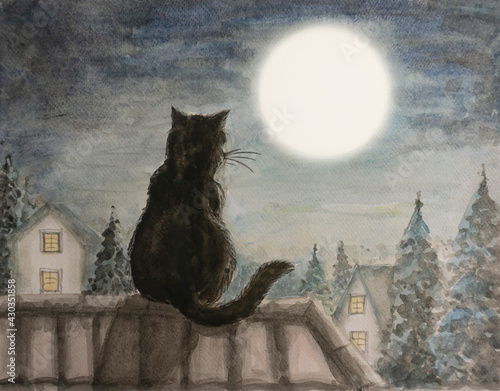 Black cat sitting on house rooftop look at full moon at night