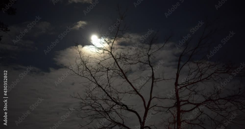 The full moon is covered with clouds through the branches of trees. Timelapse. The full moon is covered with clouds through the branches of trees. Timelapse.