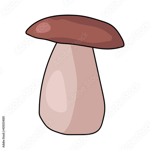 Doodle style porcini mushroom white boletus , bright edible porcini mushroom with a dark cap on a light stem