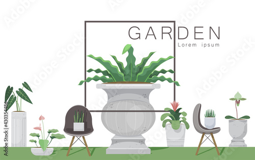 Illustration vector hobby room of planting in set of indoor plant pot at house as concept on flat style. Orchid, cactus, Bromeliads, Paphiopedilum, Haworthia, Asplenium, aechmea, urn plant