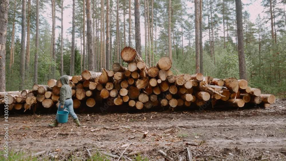 Caucasian boy in rubber boots with buckets of berries walks along the ground. Nearby lies mountain of sawn tree trunks in the forest