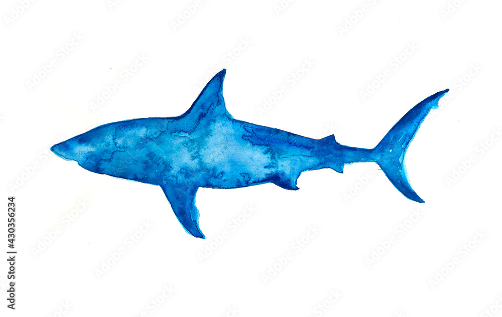Fototapeta premium shark watercolor