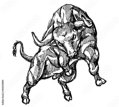 Bull Rage Front View, Hand Drawn Shaded Illustration