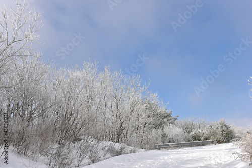 Wallpaper Mural Winter snow-covered landscape of Taegisan Mountain, South Korea Torontodigital.ca