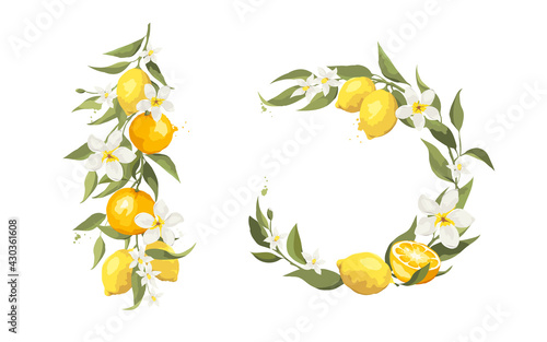 Summer card with jasmine flowers and citrus branch. Floral design elements for wedding invitation, vector illustration, label.