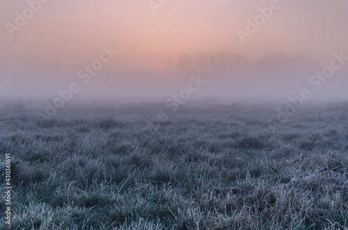 MISTY SUNRISE - A picturesque morning over the meadows