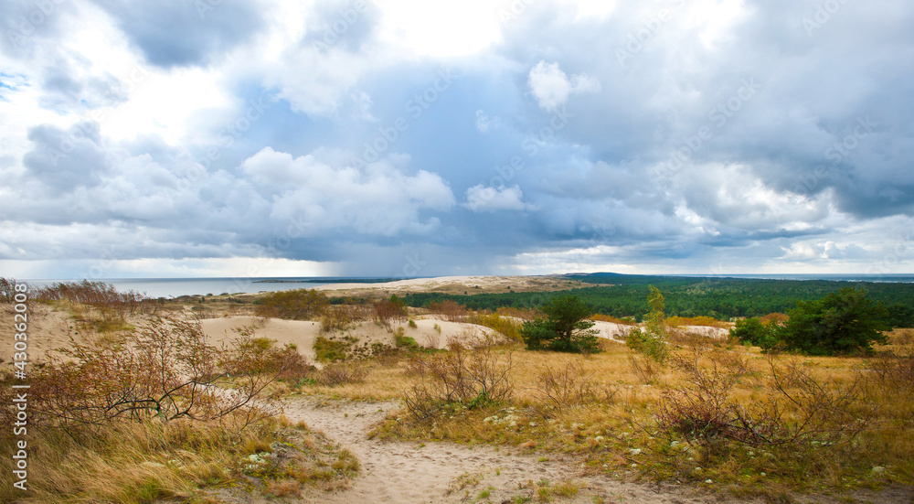 Landscape of dune and forest with raincloud forming