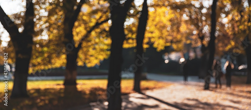 Abstract blurred image of autumn park