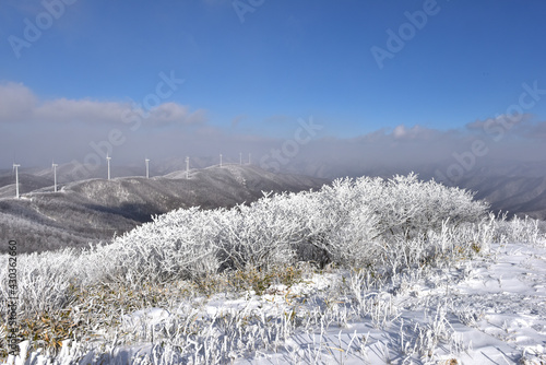 Winter snow-covered landscape of Taegisan Mountain  South Korea