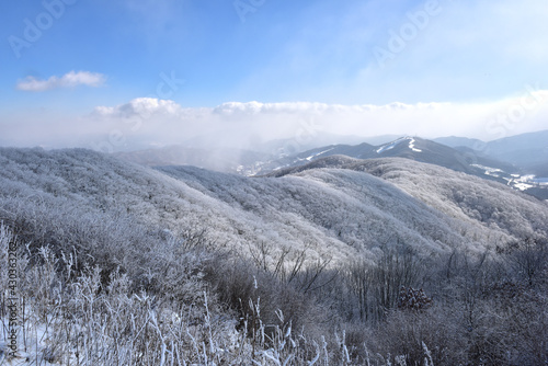 Winter snow-covered landscape of Taegisan Mountain, South Korea