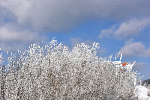 Winter snow-covered landscape of Taegisan Mountain, South Korea