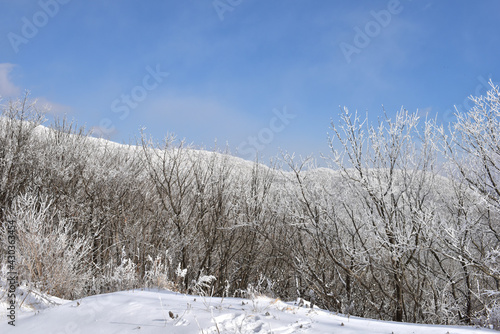 Winter snow-covered landscape of Taegisan Mountain, South Korea