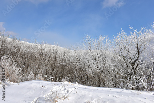 Winter snow-covered landscape of Taegisan Mountain, South Korea