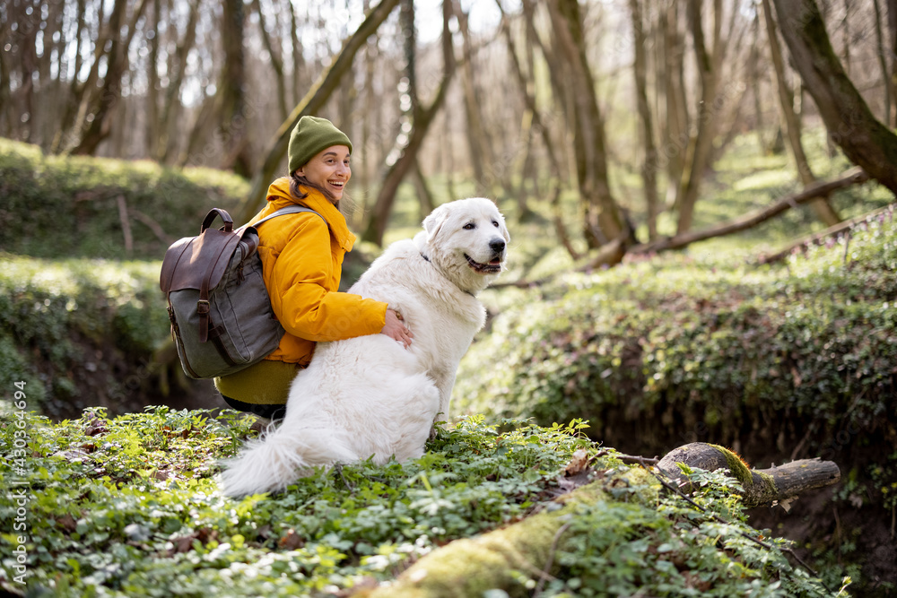 Young woman in hiking clothes and backpack sitting near big white dog in green spring forest. Enjoys and explore of tranquil nature. Young woman in hiking clothes and backpack sitting near big white dog in green spring forest. Enjoys and explore of tranquil nature.