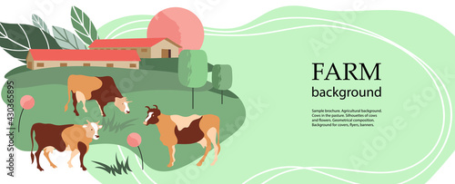Horizontal agricultural background. Cows in the pasture. Livestock farm.