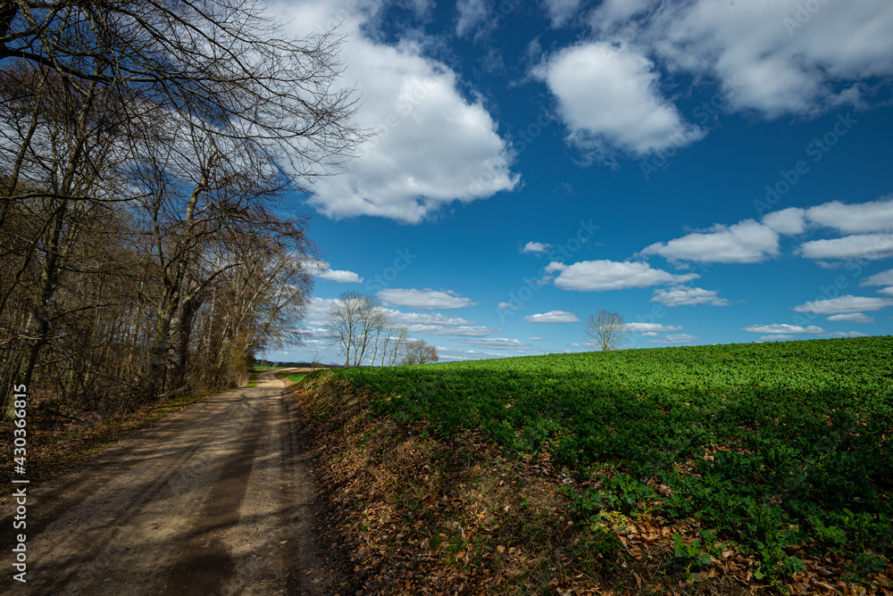 The rectory path an idyllic place with lovely tranquility, and environment The rectory path an idyllic place with lovely tranquility, and environment