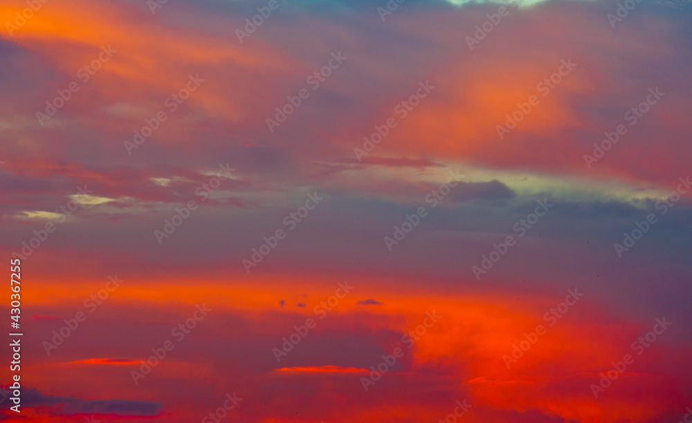 Beautiful pink clouds in the summer sunset sky (background)