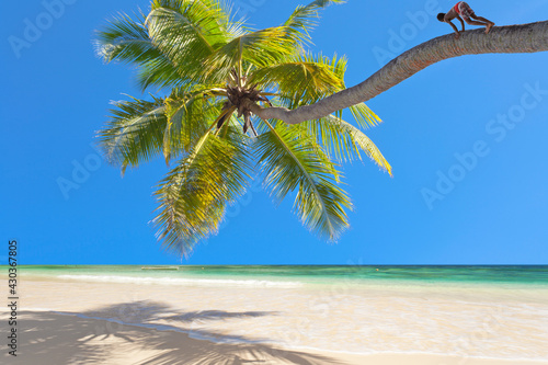 Photography Garçon perché sur cocotier penché de plage paradisiaque tropicale