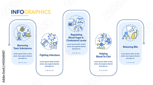 Liver roles vector infographic template. Releasing bile, cholesterol regulation presentation design elements. Data visualization with 5 steps. Process timeline chart. Workflow layout with linear icons