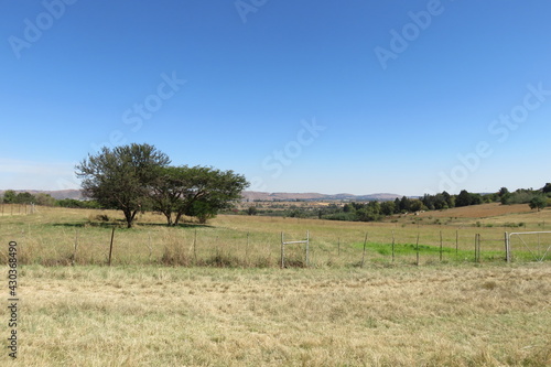 A scenic autumn colored landscape photograph of grasslands and bushes and scattered trees with hilltops on the horizon under a blue sky