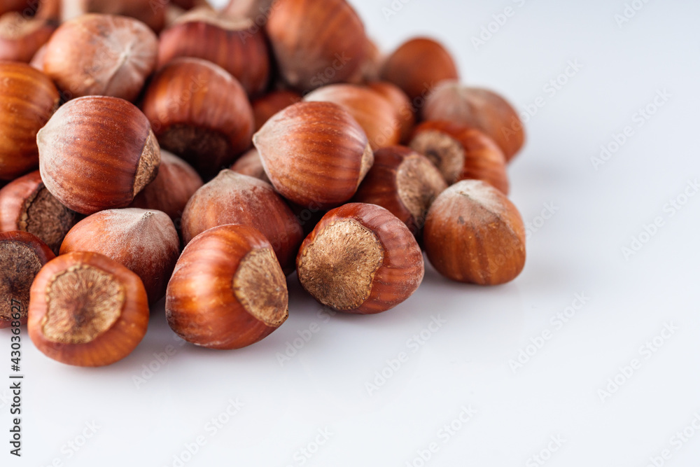 fresh natural hazelnuts on a white acrylic background fresh natural hazelnuts on a white acrylic background
