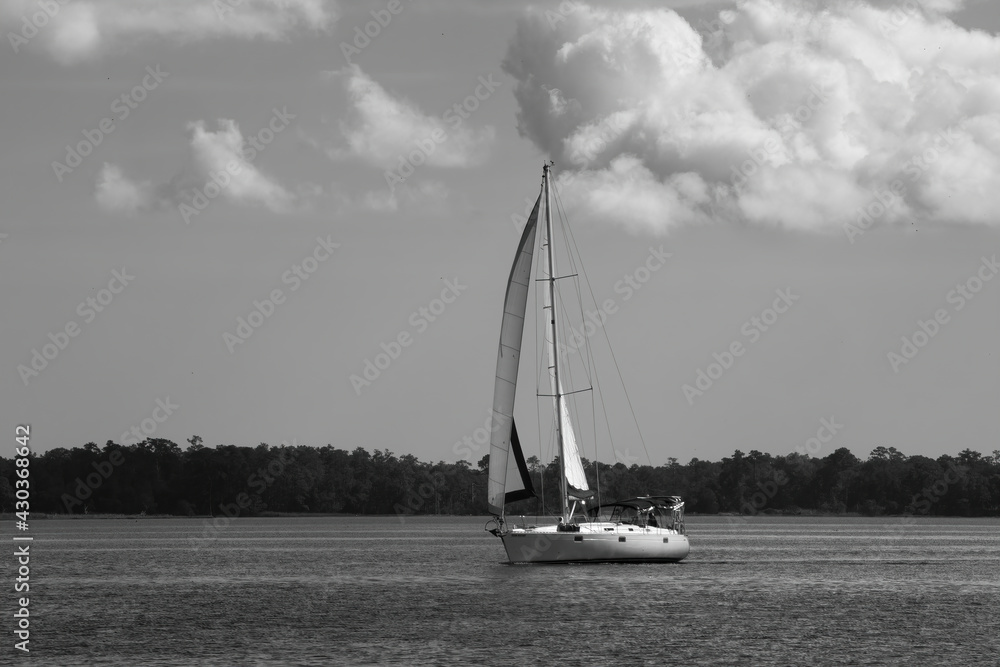 Sailboat sailing in Black and White