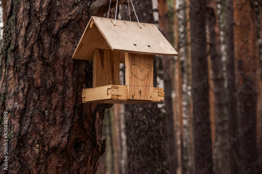 Old wooden feeder for birds on a tree in the city park, empty bird's feeder caring about wild birds in cold season. Old wooden feeder for birds on a tree in the city park, empty bird's feeder caring about wild birds in cold season.