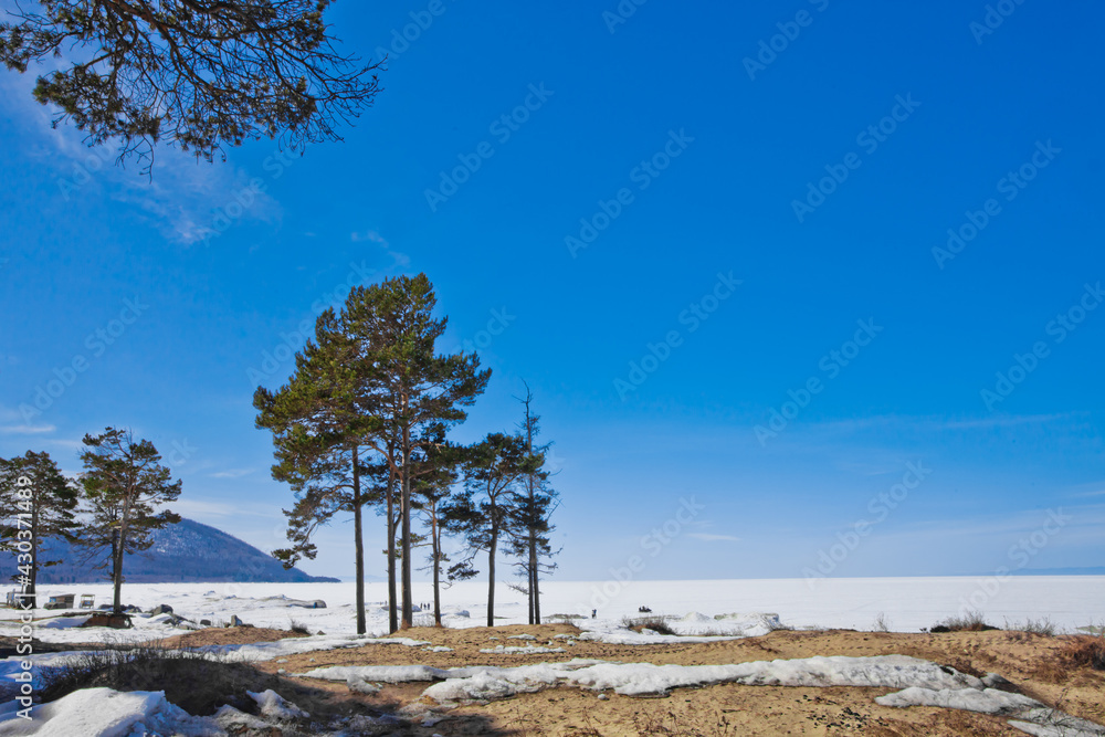 Pines far and near, blue mountain and white ice under the blue sky Lake Baikal Pines far and near, blue mountain and white ice under the blue sky Lake Baikal