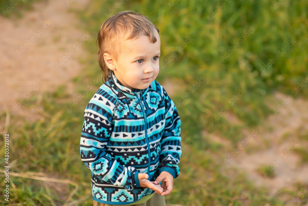 A small cheerful boy in a blue jacket walks in the summer outdoors. Happy childhood, selective focus. A small cheerful boy in a blue jacket walks in the summer outdoors. Happy childhood, selective focus.