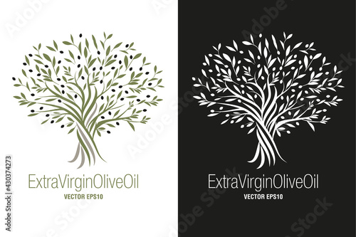 Olive Tree. Extra virgin olive oil symbol. Symbol of culture and Mediterranean food isolated on white background