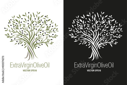 Olive Tree. Extra virgin olive oil symbol. Symbol of culture and Mediterranean food isolated on white background