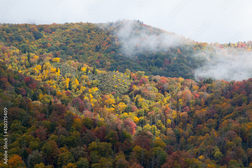 Fototapeta premium Fall mountain with colored leaves and clouds