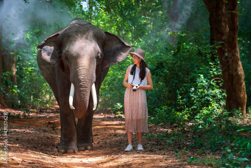 Tourists walk to explore the forest together with elephants. Tourism asian women holding camera in elephant village Surin, Thailand. © Thirawatana